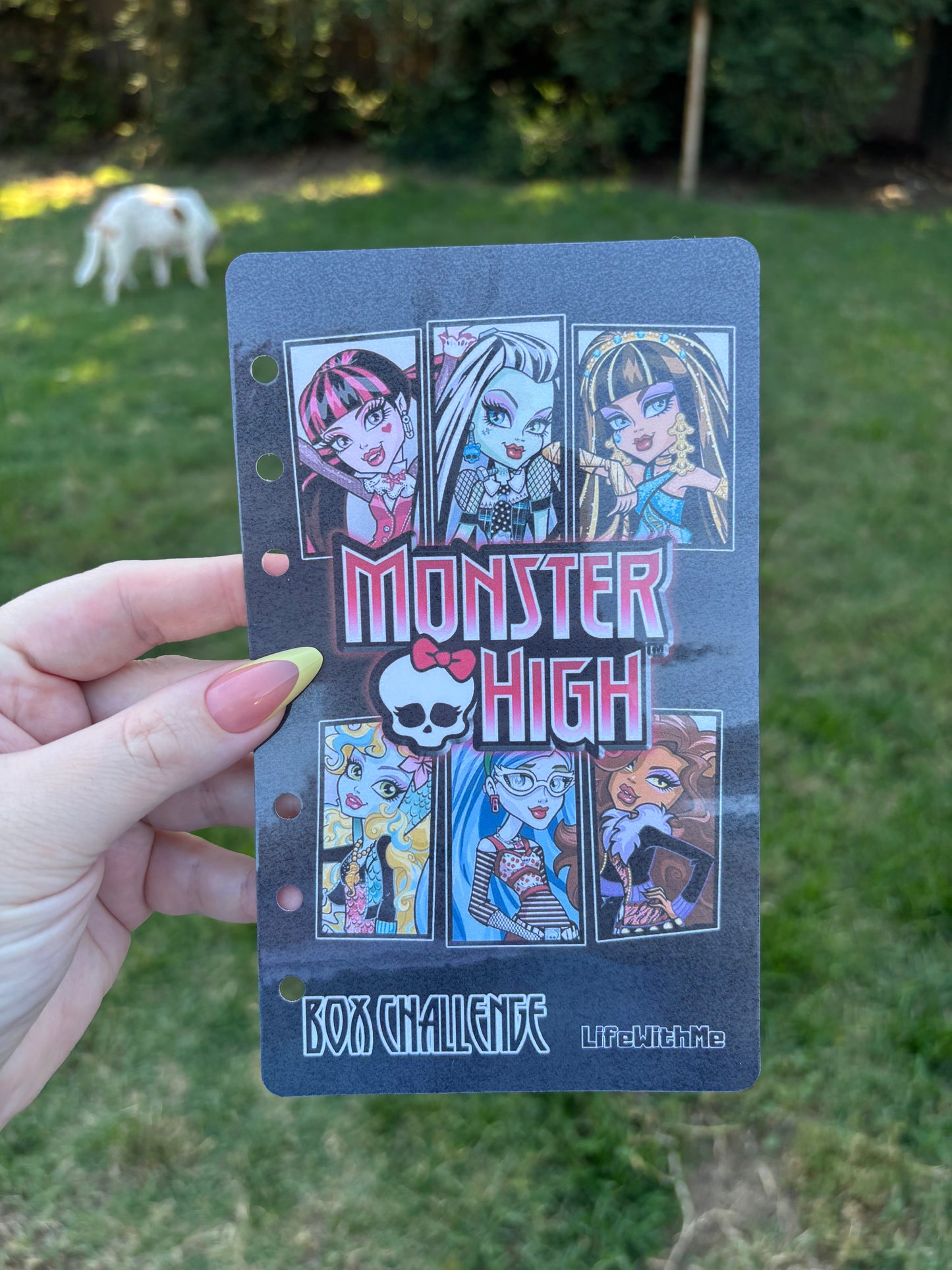 Monster High box savings challenge | A6 | Laminated | Box challenge | Binder challenge | PHYSICAL ITEM