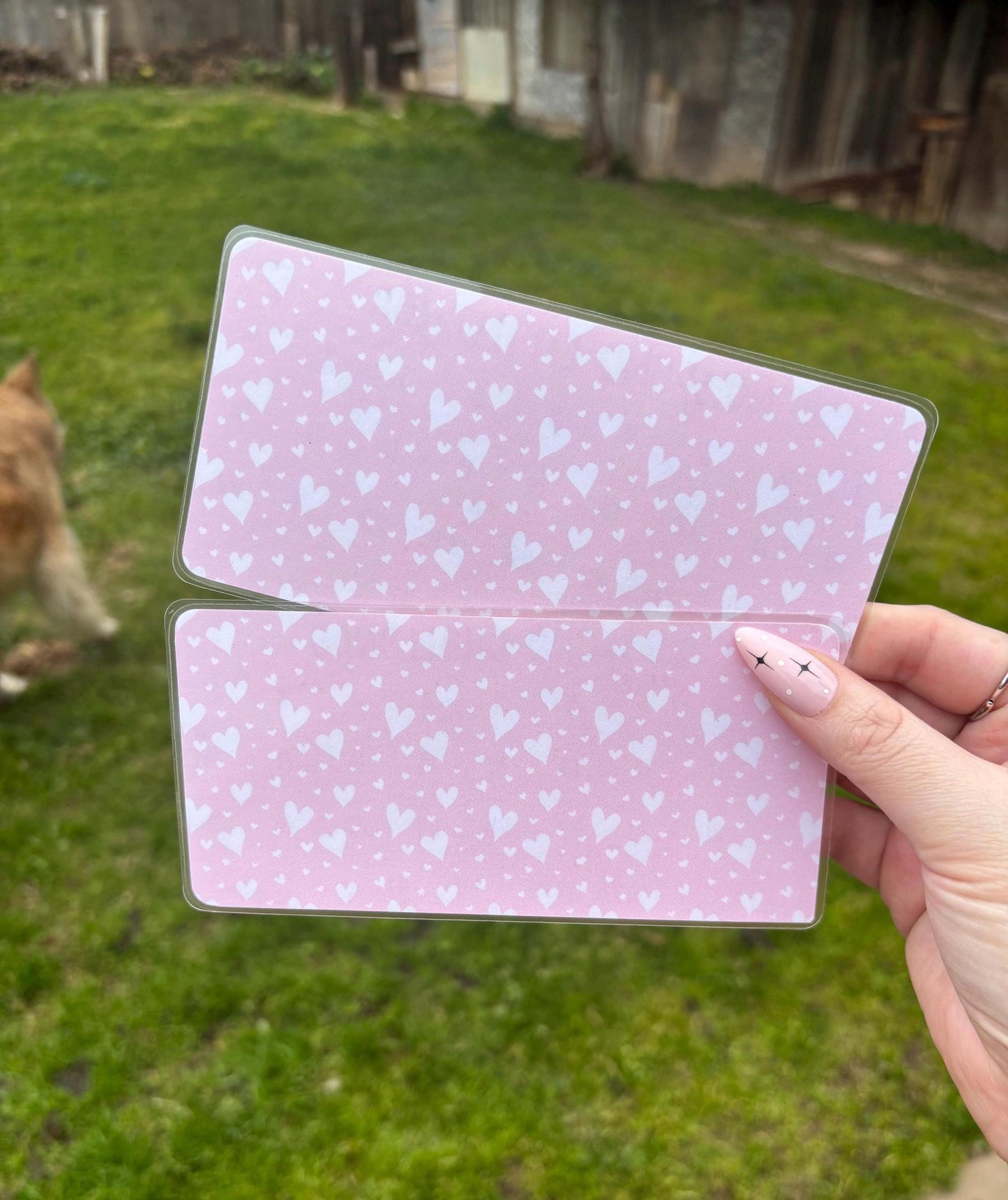 No Spend A6 savings challenge | A6 | Laminated