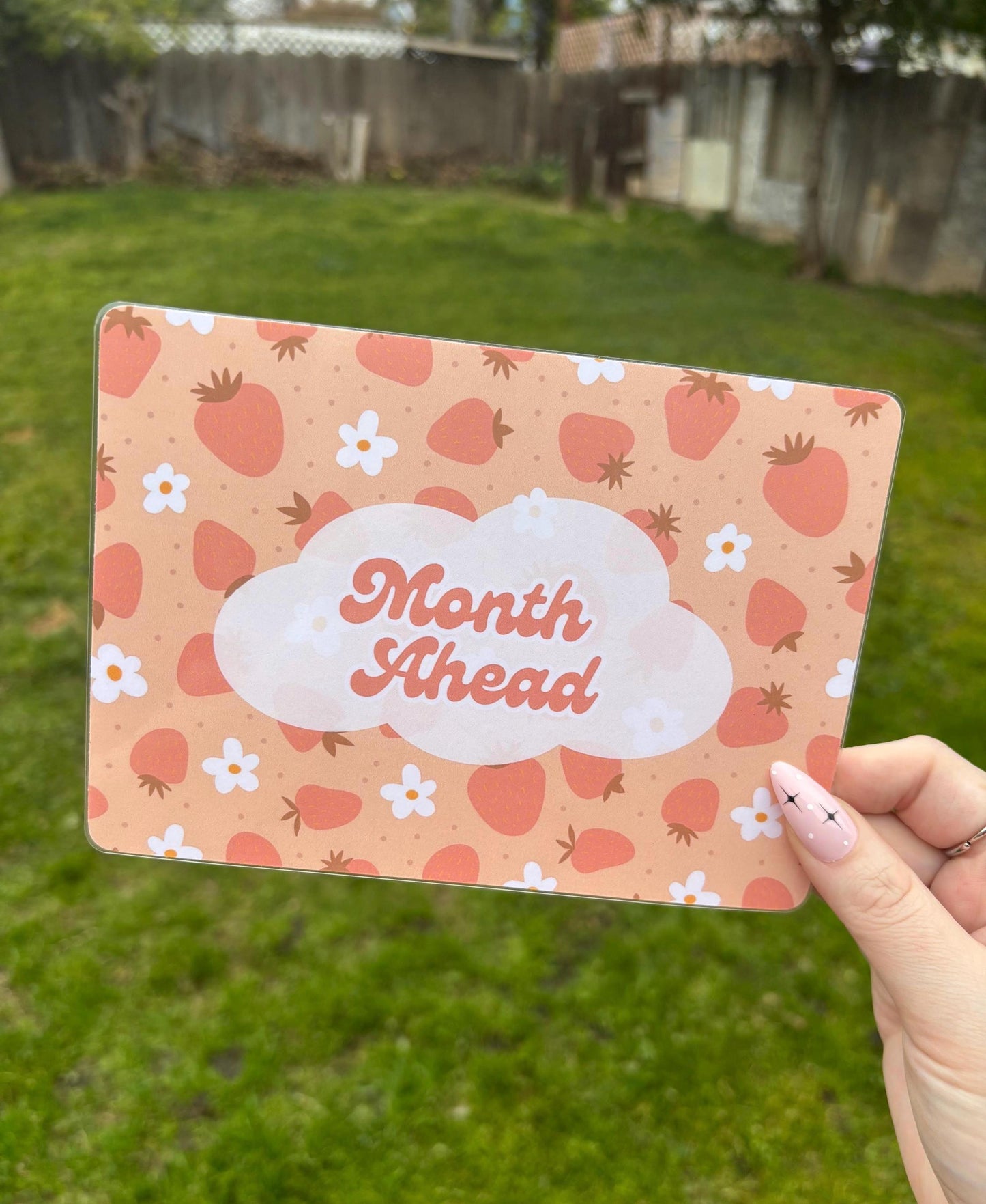 Strawberry Cloud CUSTOM Dashboard | A5 | Laminated OR Cardstock only | A5 Dashboard