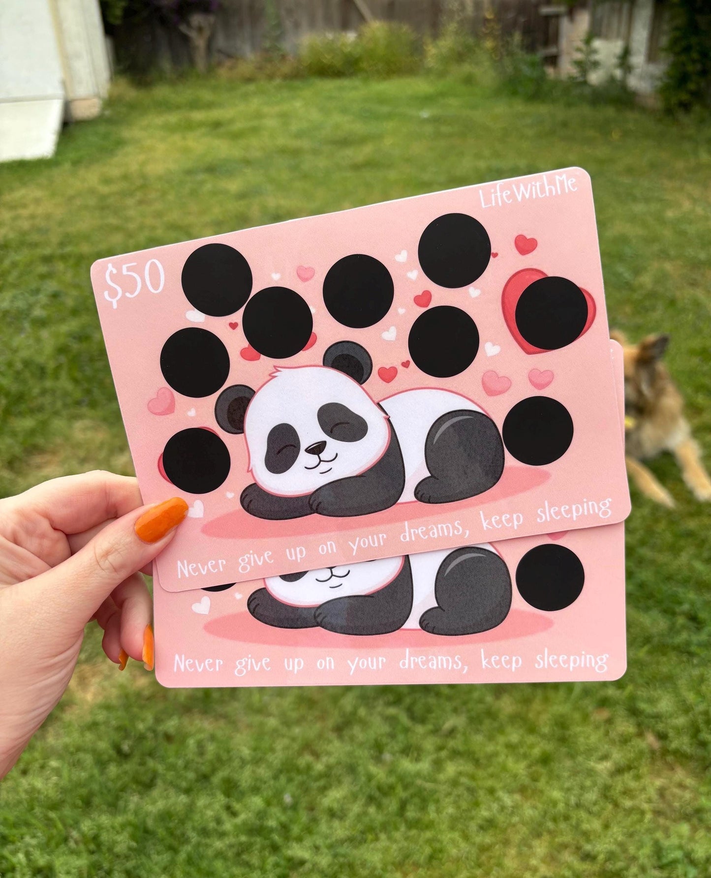 Panda scratch off savings challenge | A5 | Laminated