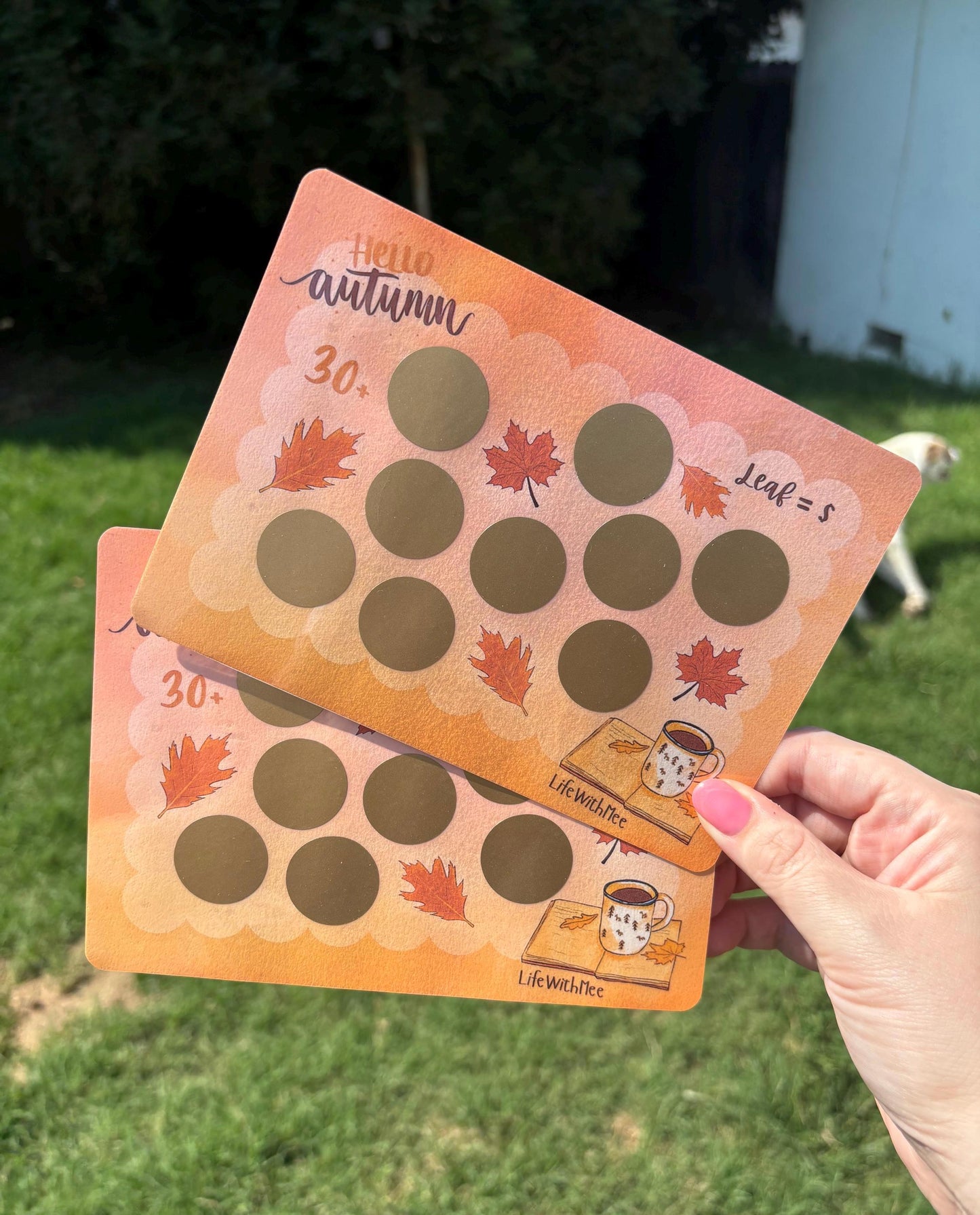 Hello Autumn scratch off savings challenge | A5 | Laminated