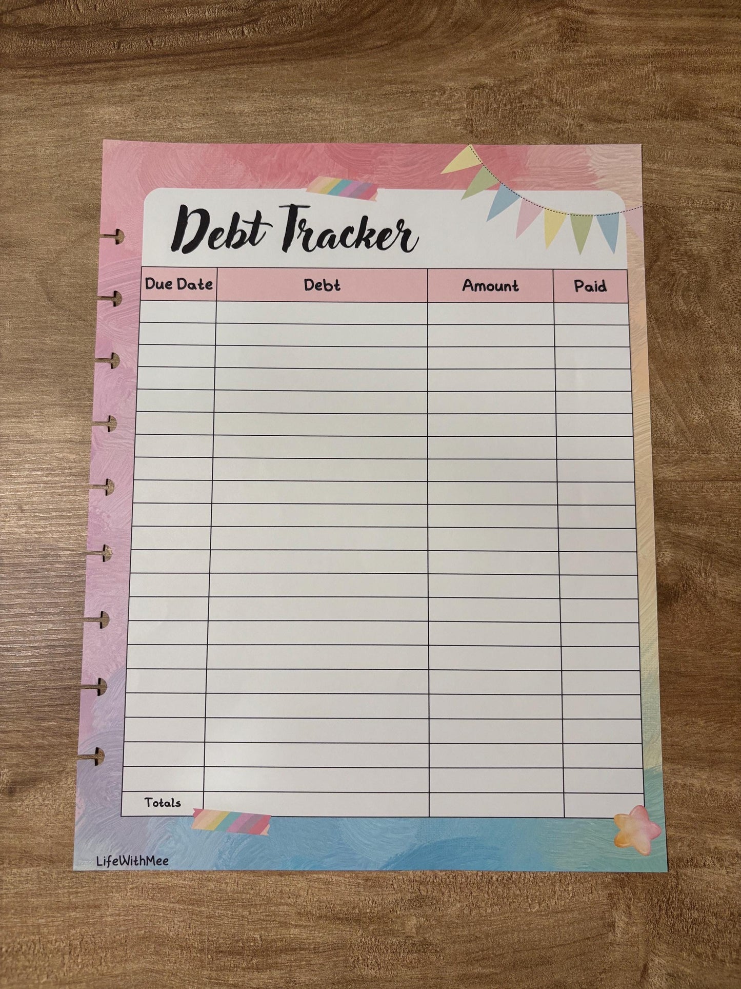 Debt Tracker | Double Sided | Themed | Colorful | (ADD ON for my budget planner)