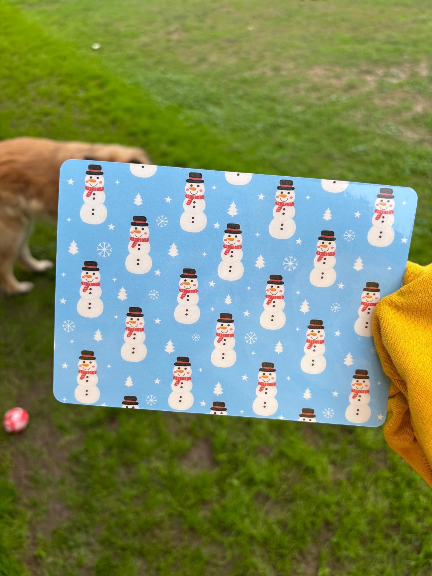 Snowman scratch off savings challenge | A5 | Laminated | Double Sided